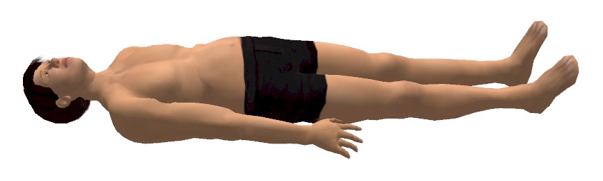 Supine position - Wikipedia